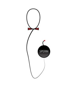 sperm